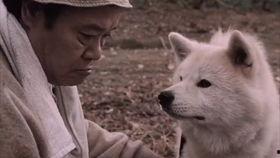 守星之犬免费观看,免费观影，探寻宇宙奥秘的忠诚伙伴