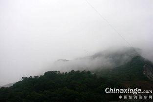 在线播放浓雾,在线播放的神秘氛围之旅
