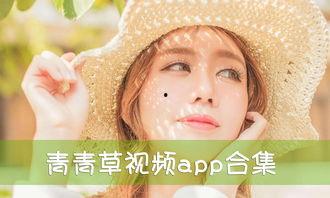 青青草首页最新视频,揭秘热门话题背后的精彩瞬间