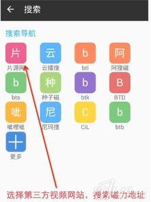 唯川纯无码磁力链接,一场视觉盛宴的探索之旅
