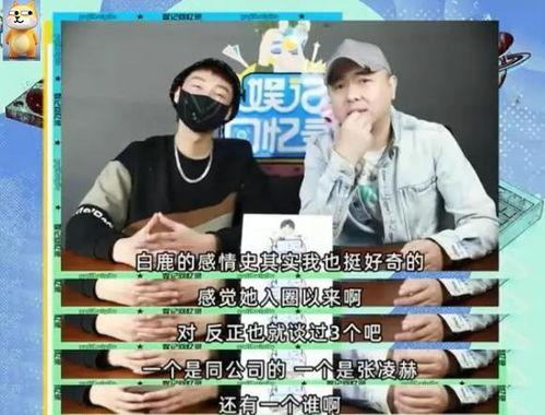 刘大锤爆料白鹿视频全集,白鹿视频全集大曝光，精彩瞬间尽收眼底