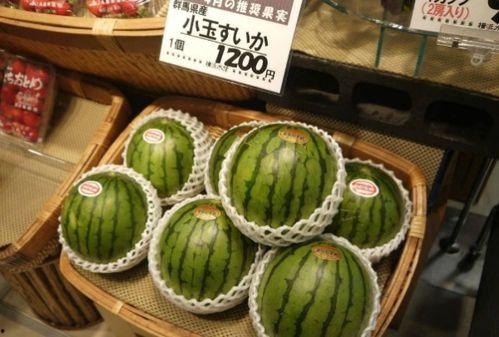 日本 西瓜,甜蜜诱惑，品味东方果香