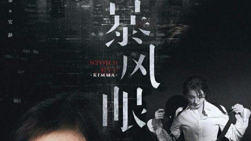 暴风眼电影免费观看,揭秘特工风云，尽享视觉盛宴！