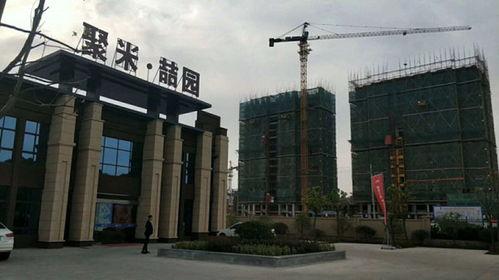 泰昌园区最新爆料事件,揭秘最新爆料背后的真相