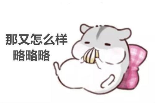 卖萌老公表情包,萌化日常，甜蜜满溢